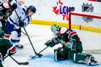 Les matchs du Phoenix diffusés en direct de Halifax au Palais des sports